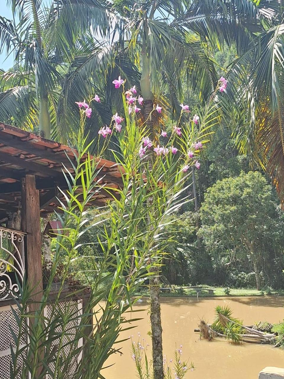 فيلا Chacara Ladeira De Pedra Salesópolis المظهر الخارجي الصورة